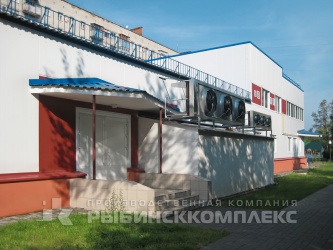 Ярославская область г. Рыбинск, служебный вход магазина