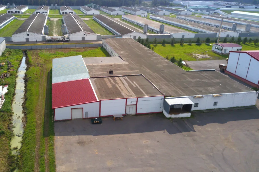 Склад для хранения яиц, 533 м² площадью 533 м2