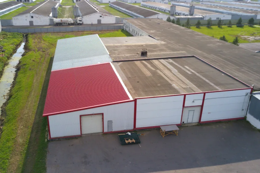 Склад для хранения яиц, 533 м² площадью 533 м2